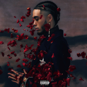 jadae日本伦视频观看
