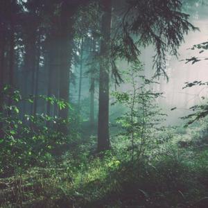 毛茸的的美女屌
