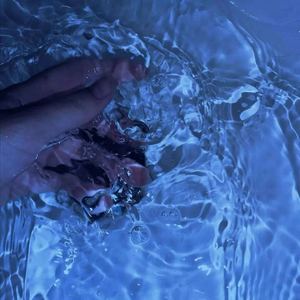 案例自动化小鲤导航
