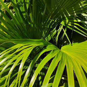 拍拍网友论坛视频在线
