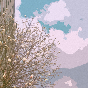 杨晨晨的土豪定制视频内容
